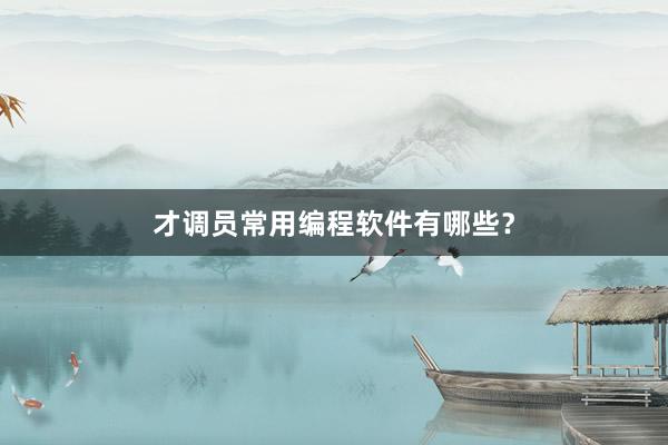 才调员常用编程软件有哪些？